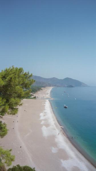 And the best beach in the world is....
