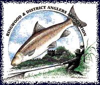 Click to view Ringwood AA web site