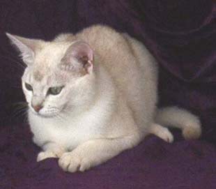 Grainoge Tuppence