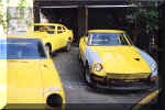 yellow  Z s.jpg (24493 bytes)