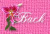 Back to Table of Contents