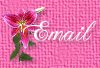 email me