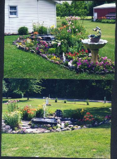 plantpictures/pond1.jpg