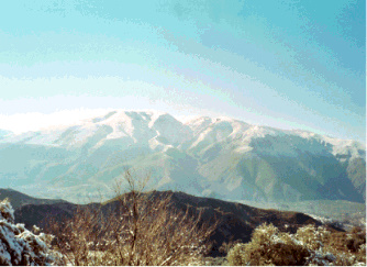 Home Page Image