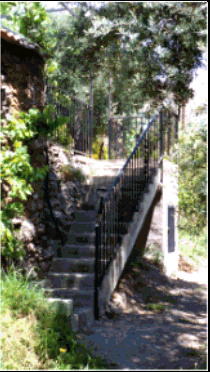 Home Page Image