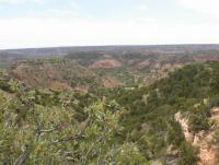 Palo Duro Canyon State Park
