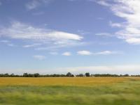 "No twisters today, Toto."