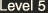 Level 5