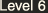 Level 6