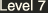 Level 7
