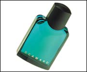 seaward.jpg - 7174 Bytes