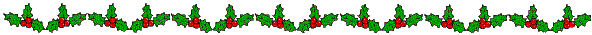 holly border