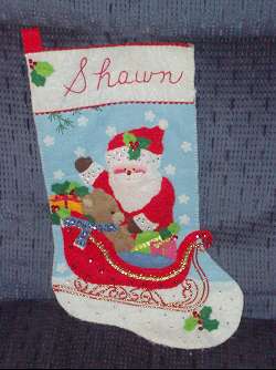 Shawn's Christmas stocking
