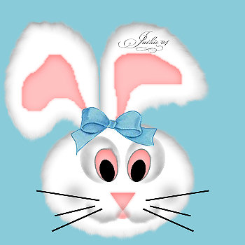 Funny Bunny Face