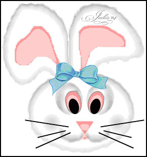 Funny Bunny Face