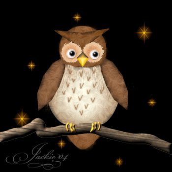 Vector Owl