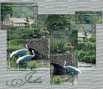 Scenery Background