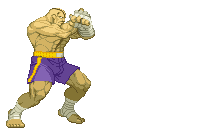 Sagat