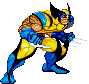 Wolverine