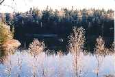 Fisherman at Grandriver