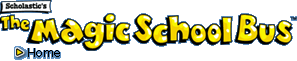 Hop on the bus for lots of fun - from National Scholastic