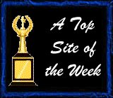 award19.jpg (7591 bytes)