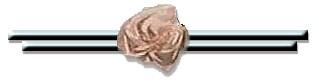 jen3.jpg (5584 bytes)