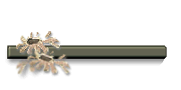 library4.gif (4010 bytes)