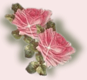 path1.gif (17823 bytes)