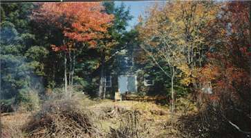 Cabin in Northern Michigan