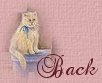 Go see my other pages!