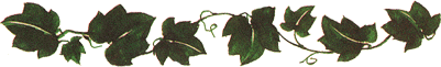 ivybar.gif (12594 bytes)