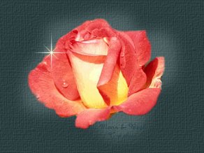 In Loving Memory!