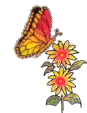 sunflws1.gif (5129 bytes)