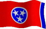 ten-flag1.gif (23321 bytes)