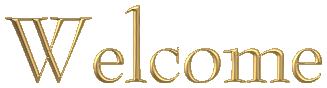 transparentheader2.gif (7310 bytes)
