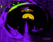 bellow