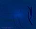 bluedesert
