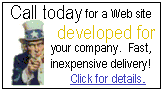 Promotion:  Web  site development and pricing