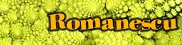 El romanescu, la col fractal