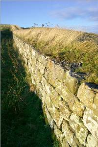 Hadrian's Wall