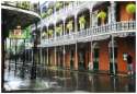 New Orleans Rivergarden