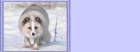 arcticfox01bg3
