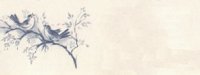 birds01bg1