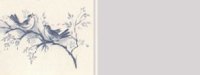 birds01bg2