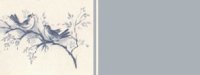 sets/birds01bg3