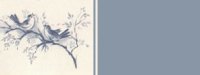 birds01bg4