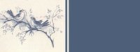 birds01bg5
