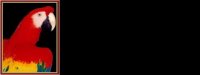 macaw01bg
