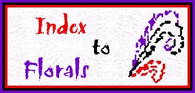 Geometrics Index